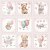 Reprint - Teddy Baby Collection pack - 8x8 15 ark